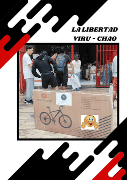 bicycle custom bicycle custom