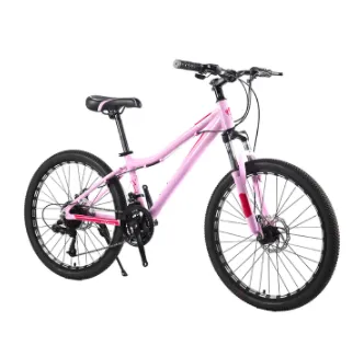 Mountain Bike Mountain Bike