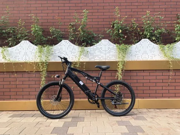 Can Electric Bike Batteries Be Repaired?