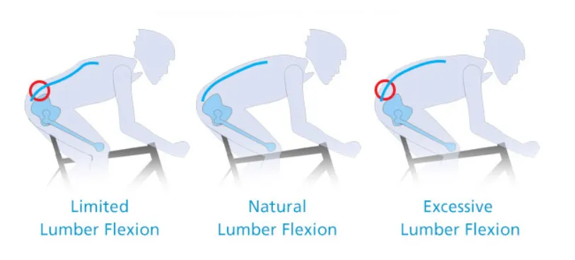 The Right Posture To Ride A Road Bike The Right Posture To Ride A Road Bike