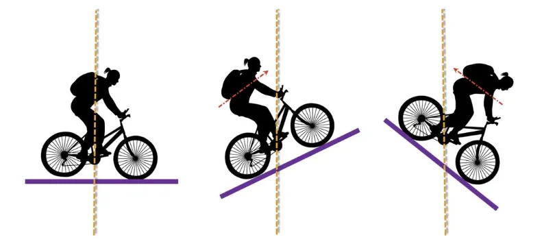 The Correct Riding Position For Mountain Bikes The Correct Riding Position For Mountain Bikes