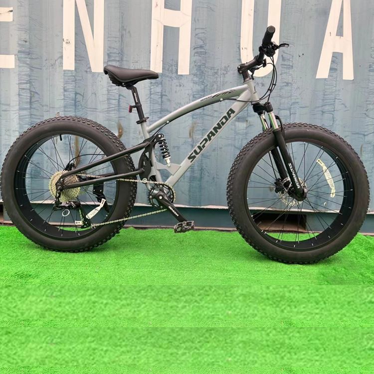 Aluminum Fat Bike