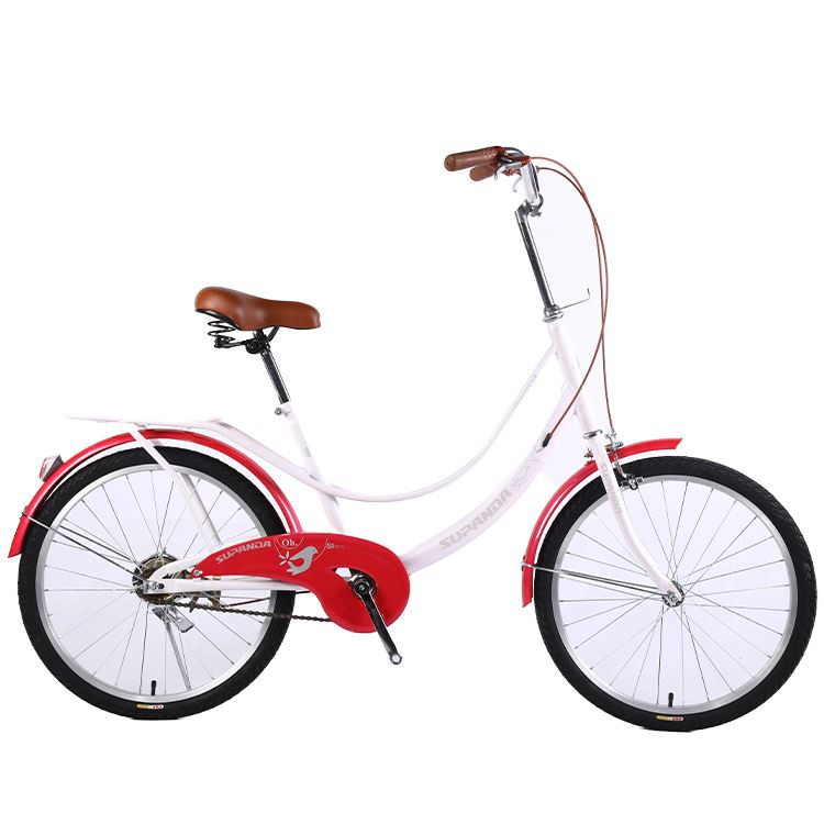 Carbon Fiber Commuter Bike