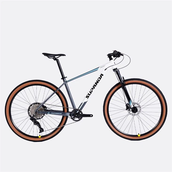 carbon trail hardtail