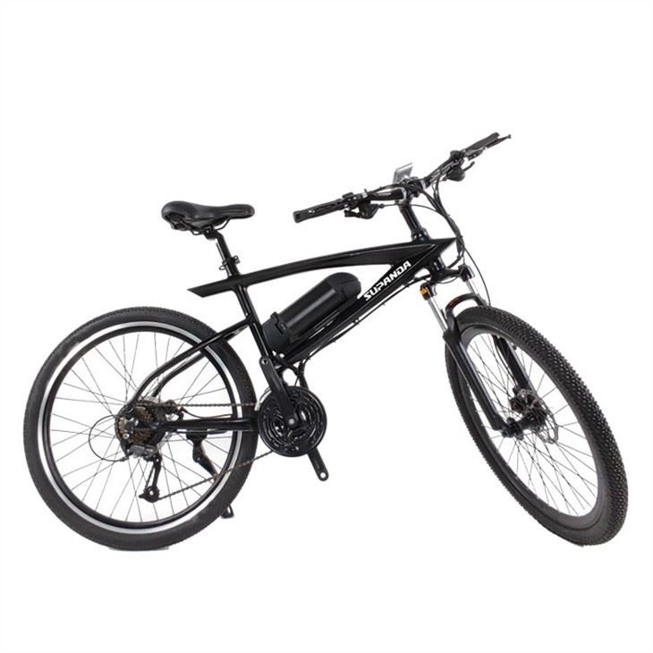 electric mtb (2)