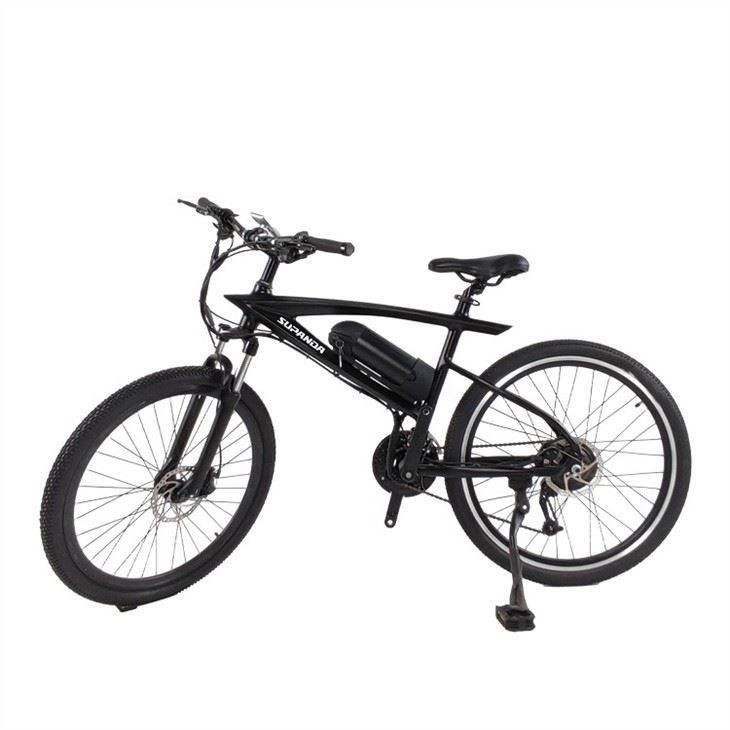 electric mtb (3)