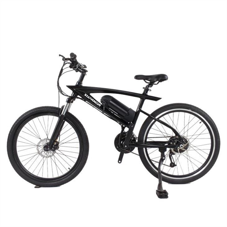 electric mtb (4)