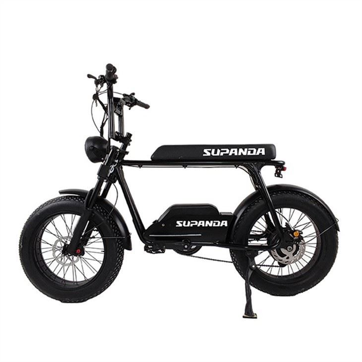 Electric fat tire bike (2)