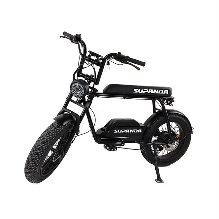 Electric fat tire bike (3)