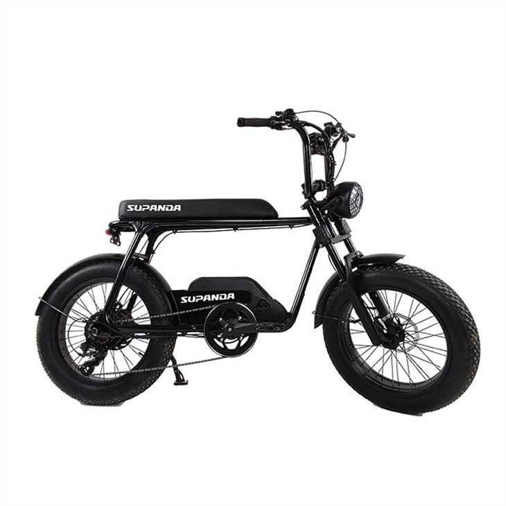 Electric fat tire bike (5)