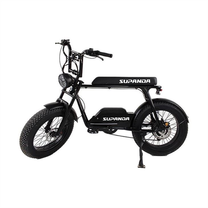 Electric fat tire bike (4)