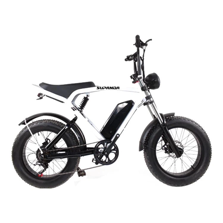 Full Suspension Electric Mountain Bike