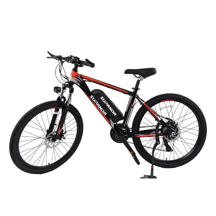 mountain beach electric bike (2)