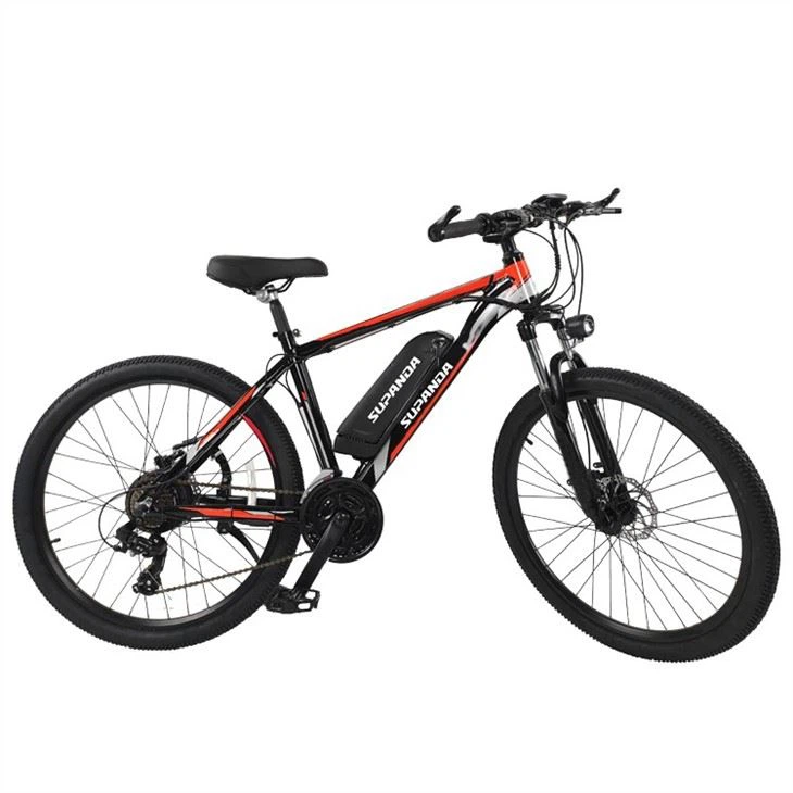 mountain beach electric bike (4)