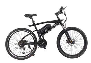 Can Electric Bike Batteries Be Repaired