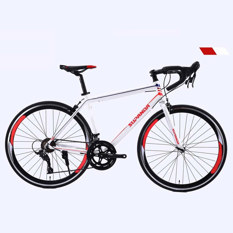 Performance R202 Road Bike