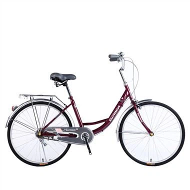 24 Inch Women's Comfort Bike