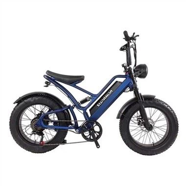 29 Inch Fat Tire Electric Bike