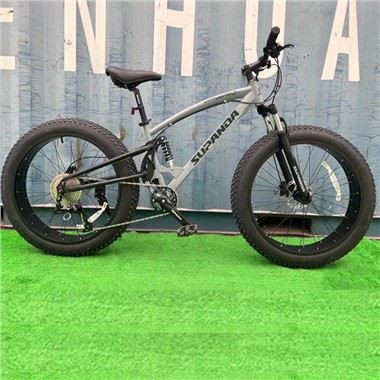 Aluminum Fat Bike