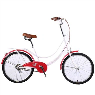 Carbon Fiber Commuter Bike