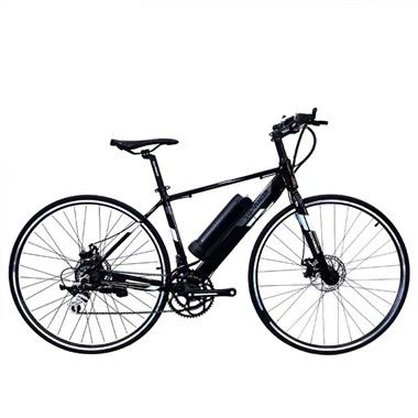 Electric Bike Road Bike