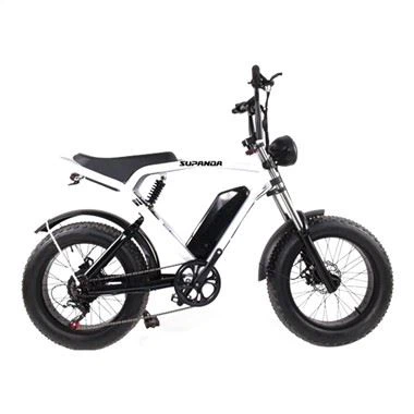 Full Suspension Electric Mountain Bike