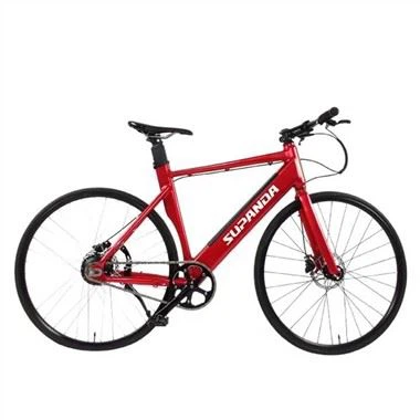 Specialized Ebike Road Bike