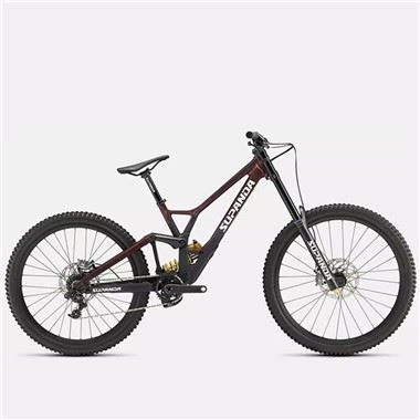Women's Downhill Mountain Bike