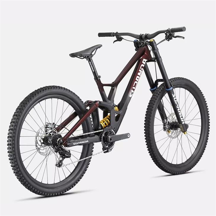 women's downhill mountain bike3