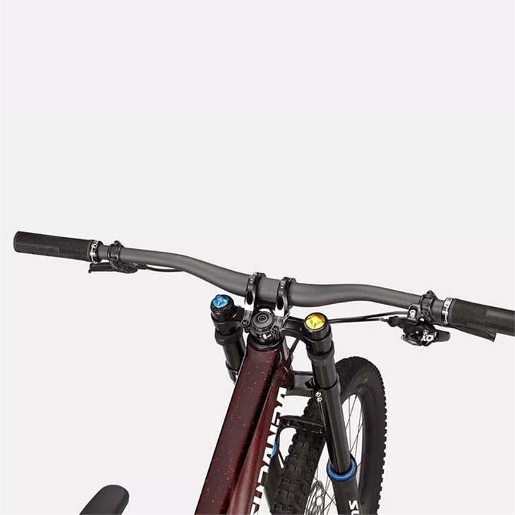 women's downhill mountain bike4