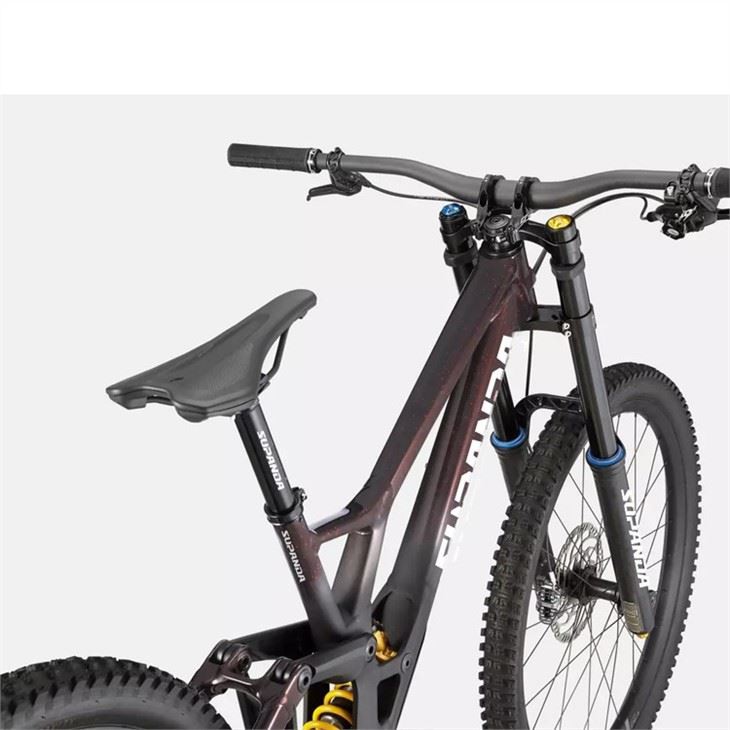 women's downhill mountain bike5