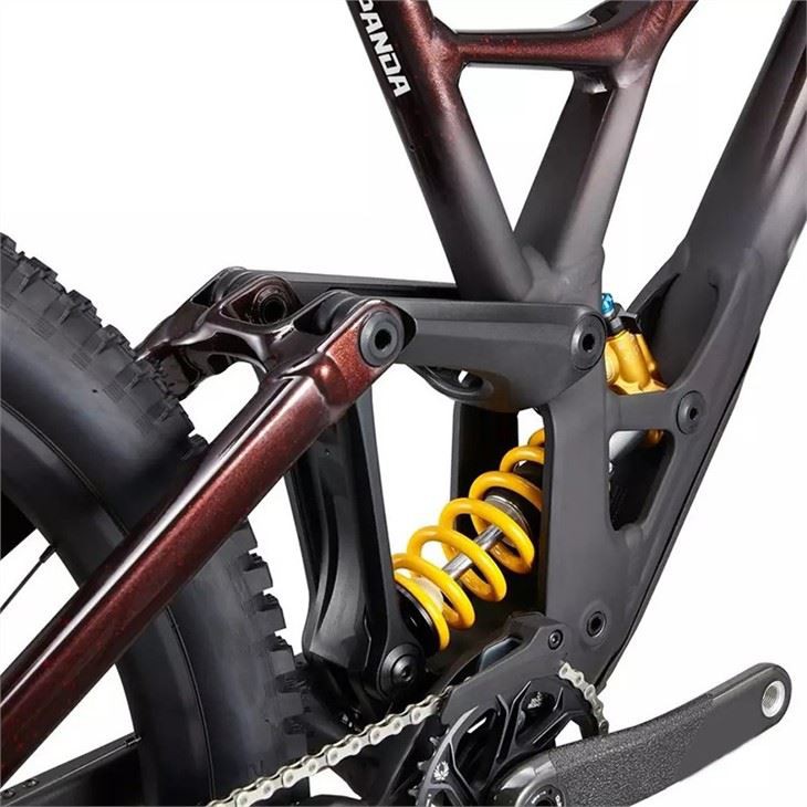 women's downhill mountain bike8