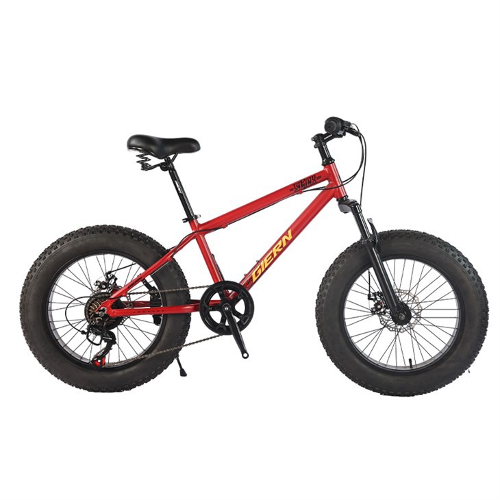 20 Fat Tire Mountain Bike