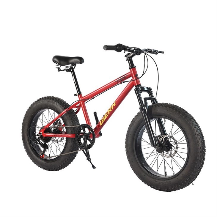 20 Fat Tire Mountain Bike