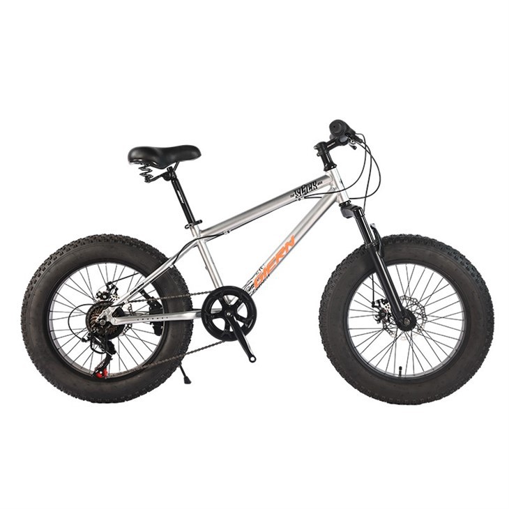 20 Fat Tire Mountain Bike