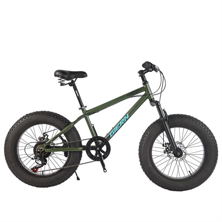 20 Fat Tire Mountain Bike