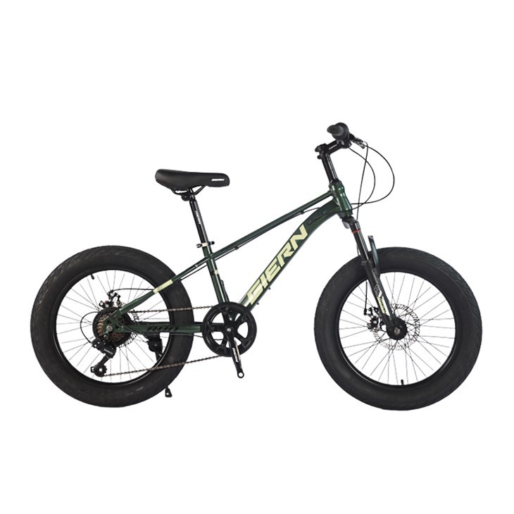 20 Inch Youth Mountain Bike