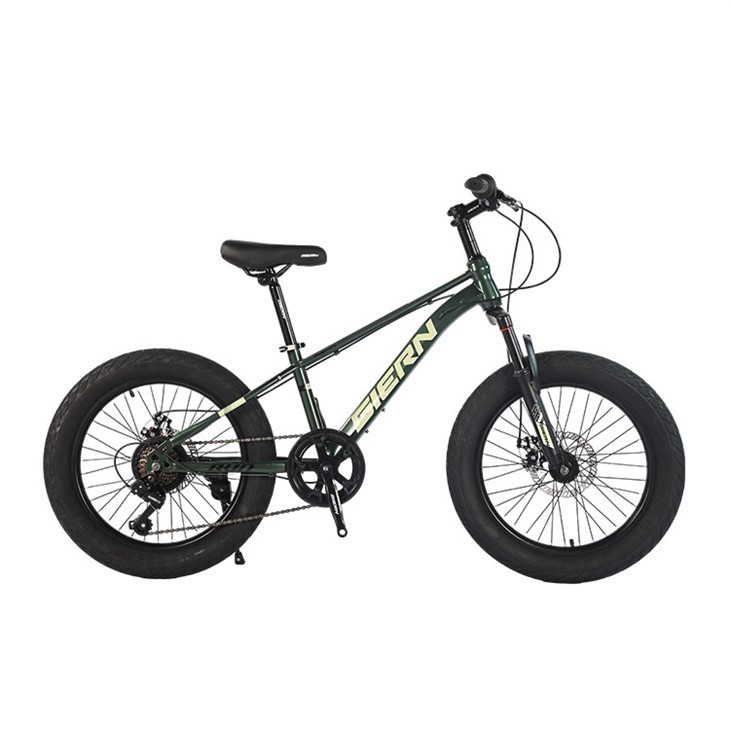 20 Inch Youth Mountain Bike