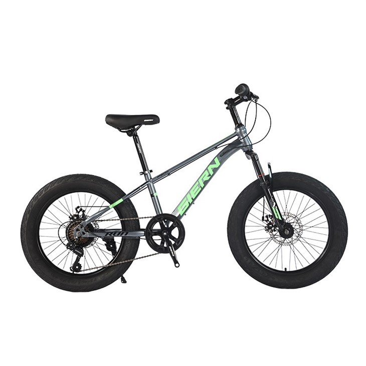 20 Inch Youth Mountain Bike