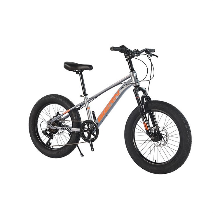 20 Inch Youth Mountain Bike