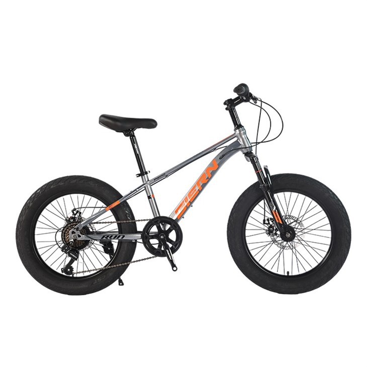 20 Inch Youth Mountain Bike