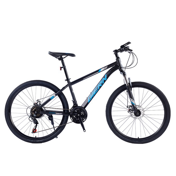 21 Speed Mountain Bike