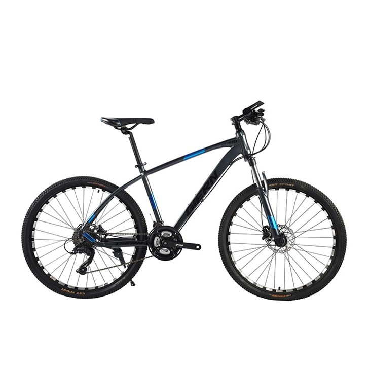 24 Hardtail Mountain Bike