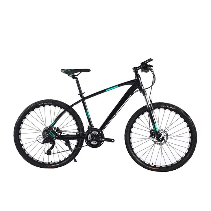24 Hardtail Mountain Bike