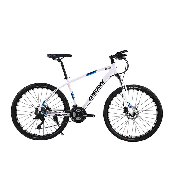 24 Hardtail Mountain Bike
