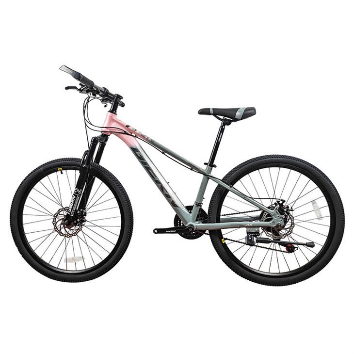 24 Inch Mountain Bikes Supplier