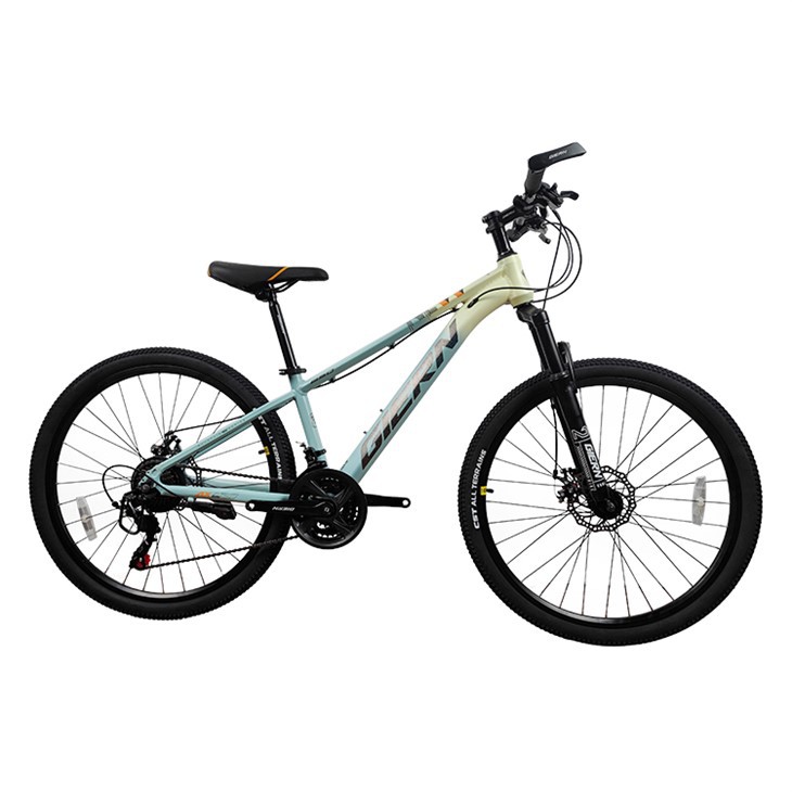 24 Inch Mountain Bikes Supplier
