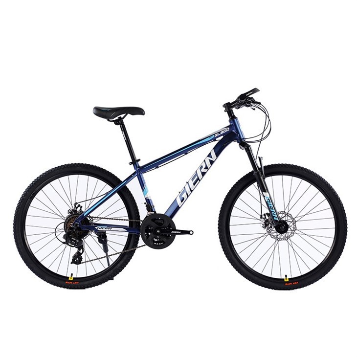 24 Speed Mountain Bike