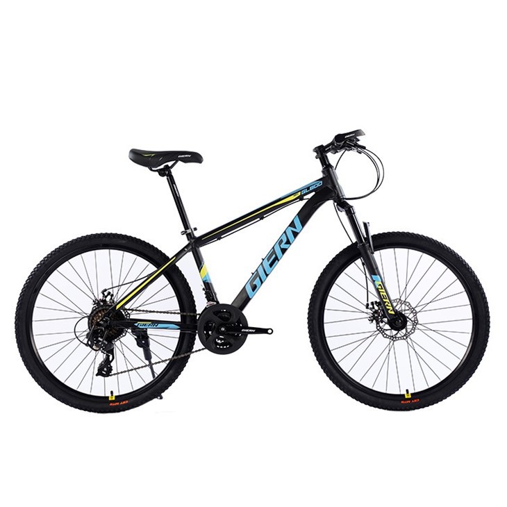 24 Speed Mountain Bike