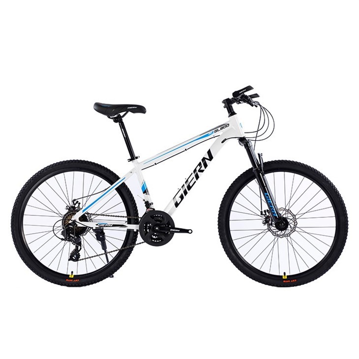 24 Speed Mountain Bike